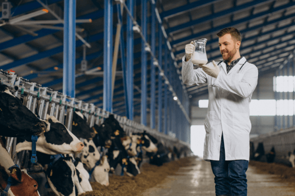 Hygienic dairy operations