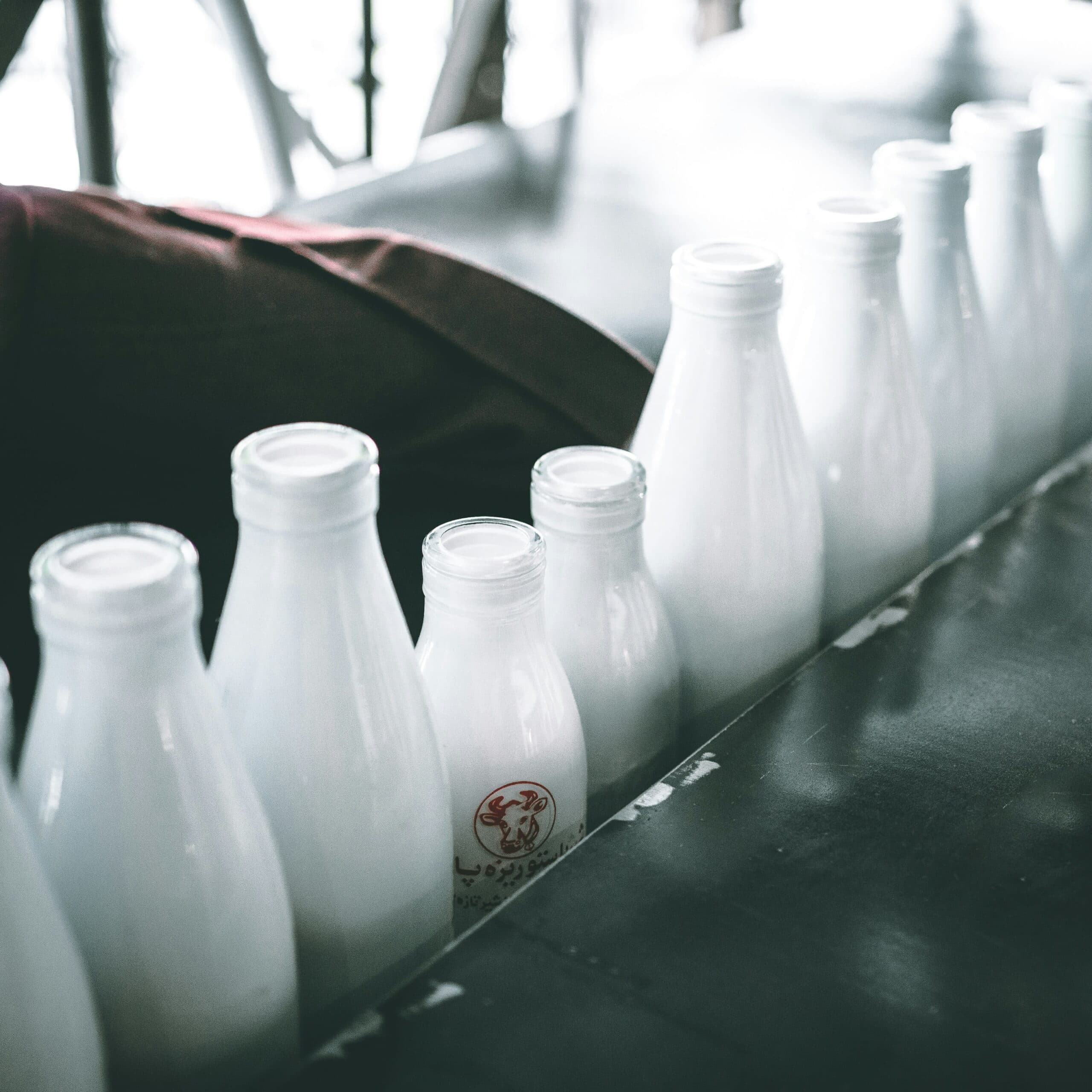 Dairy Product Manufacturing